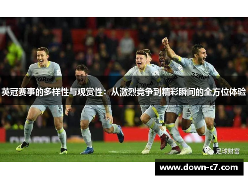 英冠赛事的多样性与观赏性:从激烈竞争到精彩瞬间的全方位体验 英冠赛事的多样性与观赏性:从激烈竞争到精彩瞬间的全方位体验