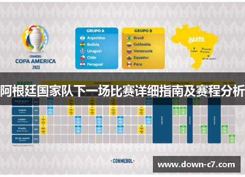阿根廷国家队下一场比赛详细指南及赛程分析