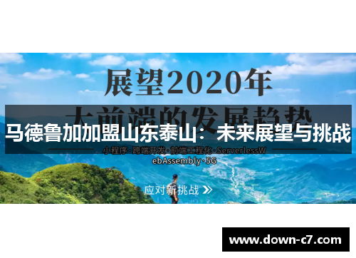 马德鲁加加盟山东泰山:未来展望与挑战 马德鲁加加盟山东泰山:未来展望与挑战