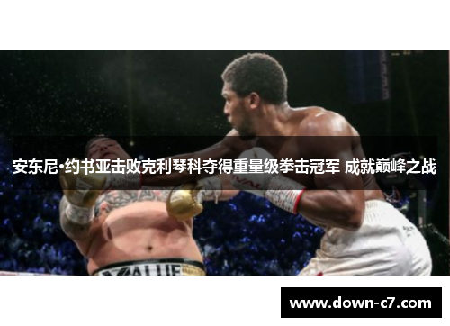 安东尼·约书亚击败克利琴科夺得重量级拳击冠军 成就巅峰之战 安东尼·约书亚击败克利琴科夺得重量级拳击冠军 成就巅峰之战