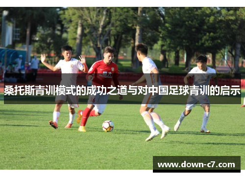 桑托斯青训模式的成功之道与对中国足球青训的启示
