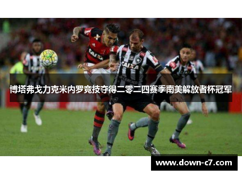 博塔弗戈力克米内罗竞技夺得二零二四赛季南美解放者杯冠军