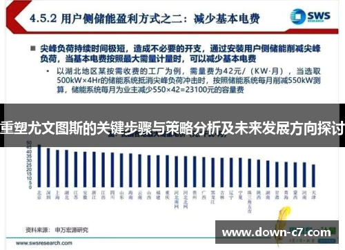 重塑尤文图斯的关键步骤与策略分析及未来发展方向探讨