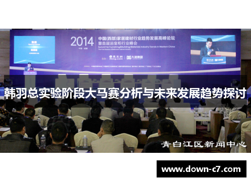 韩羽总实验阶段大马赛分析与未来发展趋势探讨 韩羽总实验阶段大马赛分析与未来发展趋势探讨