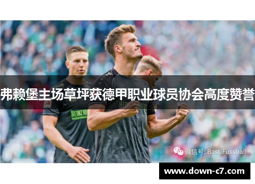 弗赖堡主场草坪获德甲职业球员协会高度赞誉 弗赖堡主场草坪获德甲职业球员协会高度赞誉