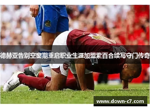 德赫亚告别空窗期重启职业生涯加盟紫百合续写守门传奇 德赫亚告别空窗期重启职业生涯加盟紫百合续写守门传奇