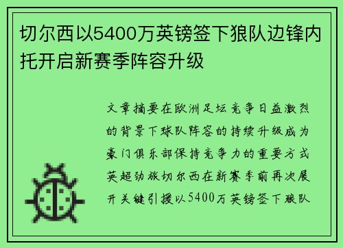 切尔西以5400万英镑签下狼队边锋内托开启新赛季阵容升级